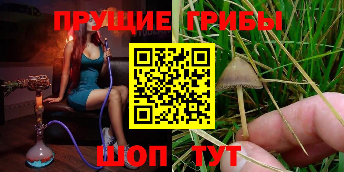 Галлюциногенные грибы Psilocybine cubensis  Вход с VPN  Солнечногорск 