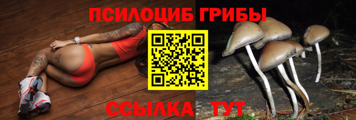 Псилоцибиновые грибы ЛСД Солнечногорск